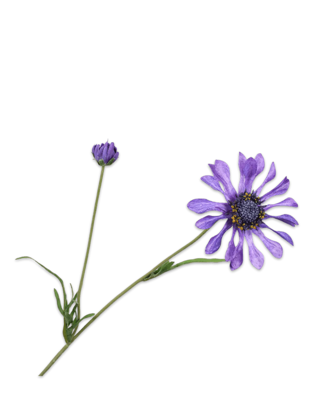 Produktbilde 1